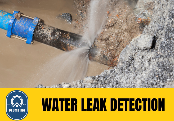 leak detection Erith