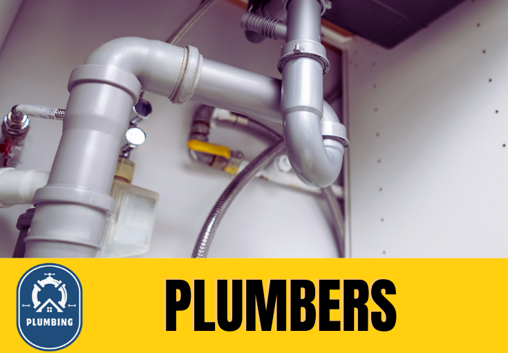  plumber Lessness Heath